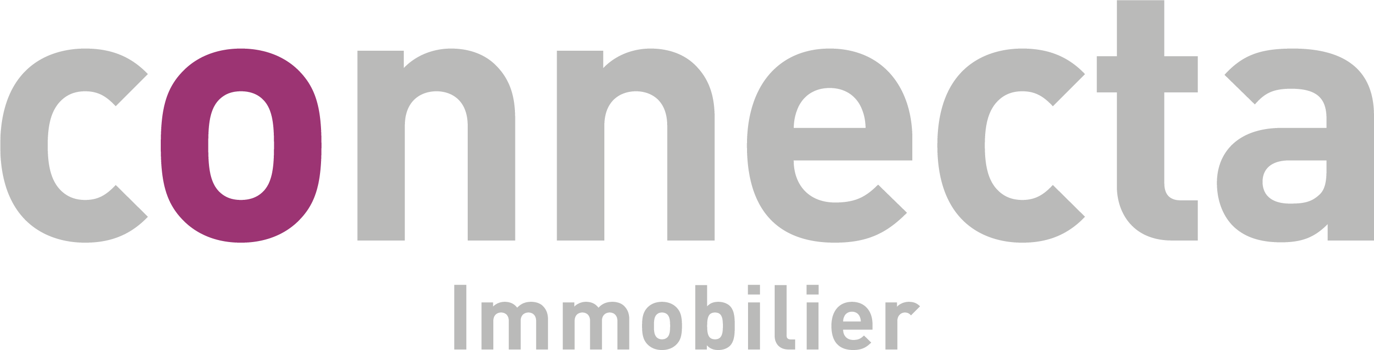 Logo connecta immobilier